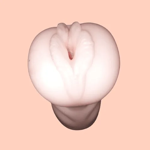 Pocket Pussy