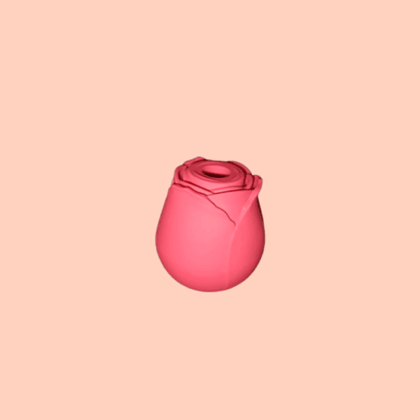 Vacuum Rose